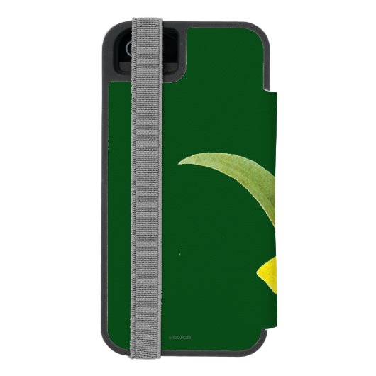 Narzisse (N Tazetta) Incipio iPhone Geldbeutel-Hülle (Folio Rückseite)