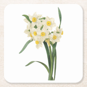 Narzisse (Narcissus tazetta) von Redouté Rechteckiger Pappuntersetzer