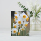 Narzisse [Postkarte] Postkarte (Stehend Vorderseite)