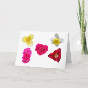 Narzisse, Tulpen und Rosen Karte