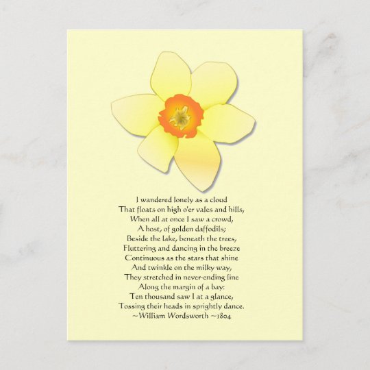 Narzisse Wordsworth Gedicht Postkarte Zazzle.de