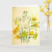 Narzissen-Blumen-Beileids-Karte Karte (Gelbe Blume)