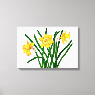 Narzissen-Blumen-Wasserfarbe-Malerei-Grafik Leinwanddruck