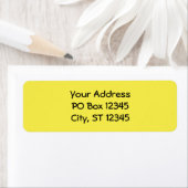 Narzissen Gelb (Insitu)