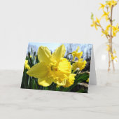 Narzissen-Gruß-Karte, leeres Innere Karte (Gelbe Blume)