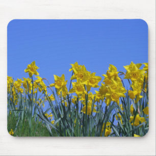 Narzissen-Himmel Mousepad