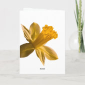 Narzissen-Karte Karte (Rückseite)