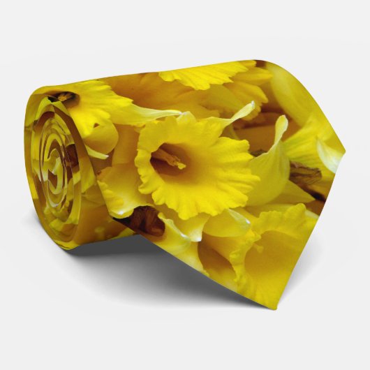 Narzissen Krawatte (Gerollt)