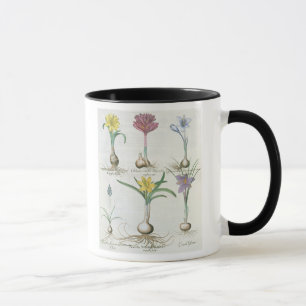 Narzissen, Krokusse und Hyazinthe: autum Tasse