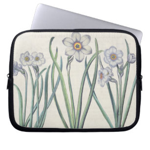 Narzissen: maximus 1.Narcissus medio purpureus; Laptopschutzhülle