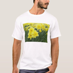 Narzissen RF) T-Shirt