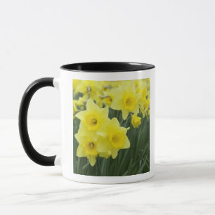 Narzissen RF) Tasse