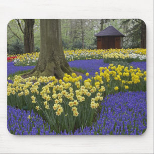 Narzissen-, Traubenhyazinthen- und Tulpen-Garten, Mousepad