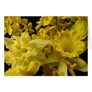 Narzissen und Forsythia