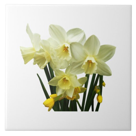 Narzissen und Knospen Fliese (Vorderseite)