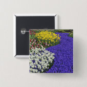 Narzissen und Traubenhyazinthen, Keukenhof 2 Button (Vorne & Hinten)
