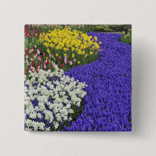 Narzissen und Traubenhyazinthen, Keukenhof 2 Button (Vorderseite)