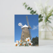Narzissen und Windmühle Postkarte (Stehend Vorderseite)