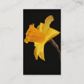 Narzissen-Visitenkarte Visitenkarte (Rückseite)