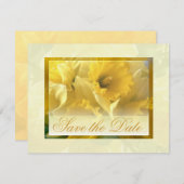 Narzissenankündigungen Einladung (Vorne/Hinten)