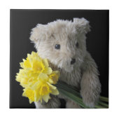 Narzissenbärnfliese Fliese (Vorderseite)