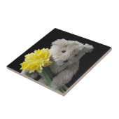 Narzissenbärnfliese Fliese (Seite)