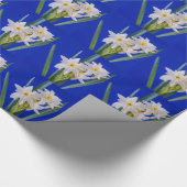 Narzissenfrühling Geschenkpapier (Ecke)