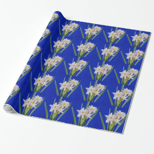 Narzissenfrühling Geschenkpapier