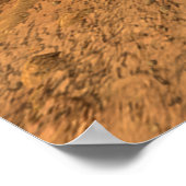 NASA / Beharrlichkeit hier / : ) / Poster (Ecke)