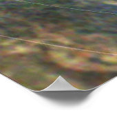 NASA / Juno / Jupiter / 3. November 2019 / Poster (Ecke)