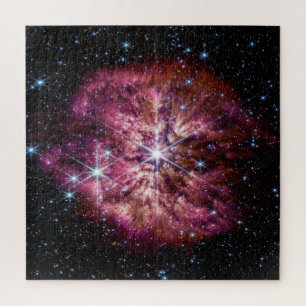 NASA JWST Wolf-Rayet Star WR 124 Puzzle
