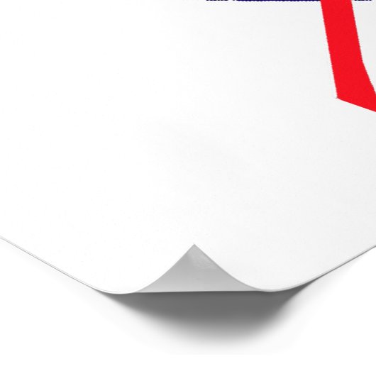 NASA Meatball-Logo Poster (Ecke)