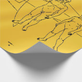 NASA Pioneer 10 Space Probe Gold Plaque Geschenkpapier (Ecke)