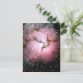 NASA Rosa Sterne SSC2005 Postkarte (Stehend Vorderseite)