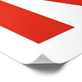 NASA-Wurm-Logo (Schlange) Poster (Ecke)