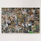 NASC 2022 Jigsaw Puzzle (Horizontal)