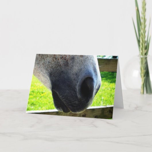 Nase Karte (Vorderseite)