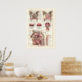 Nase & Sinuses Anatomy Poster auf Französisch (Küche)