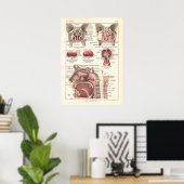 Nase & Sinuses Anatomy Poster auf Französisch (Heimbüro)