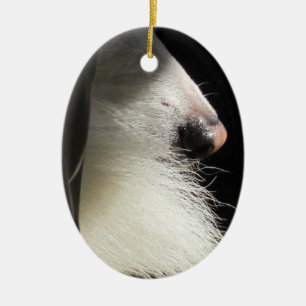 Nase und Schwanz Keramikornament