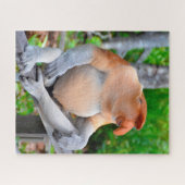 Nasenaffe. Puzzle (Horizontal)
