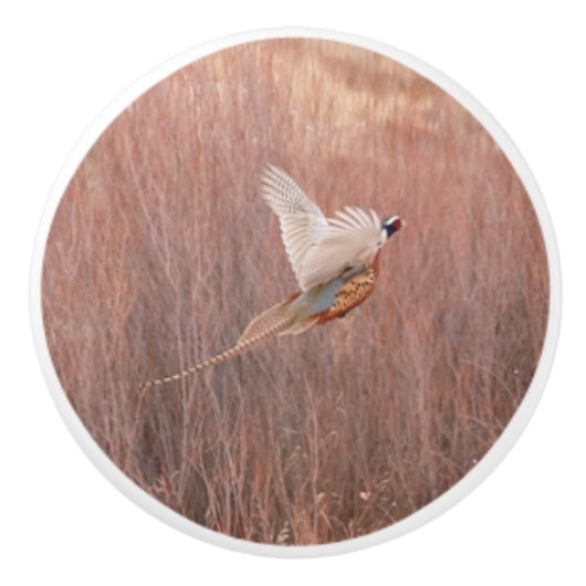 Nasenhalsklatsche Keramik Keramikknauf (Vorderseite)