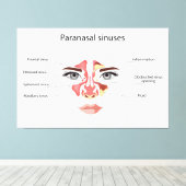 Nasennebenhöhlen Leinwanddruck (Insitu (Holzboden))