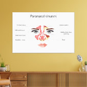 Nasennebenhöhlen Leinwanddruck (Insitu (Wohnzimmer))