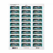 Nash Hudson Metropolis blau-weiß (Vorne)