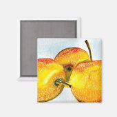 Nashi Birnen Gelbe Aquarellfrucht Magnet (Vorderseite/Rückseite)