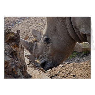 Nashorn