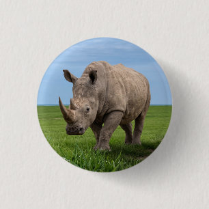 Nashorn auf grünem Hügel Fotovergrößerung Button