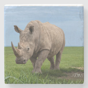 Nashorn auf grünem Hügel Fotovergrößerung Steinuntersetzer