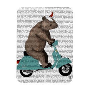 Nashorn auf Moped Magnet